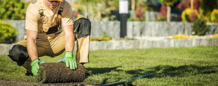 landscaping-work.jpg