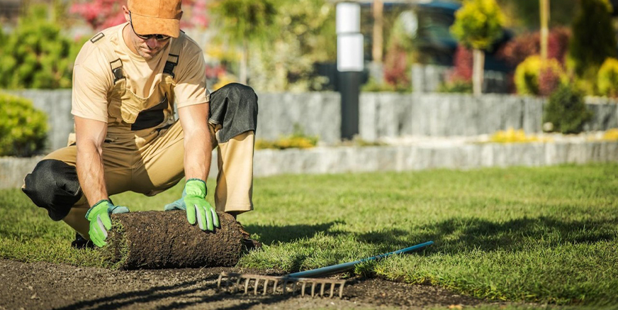 landscaping-work.jpg